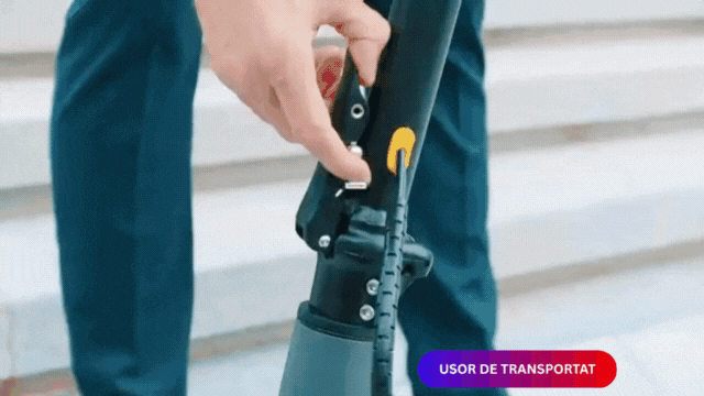𝐓𝐫𝐨𝐭𝐢𝐧𝐞𝐭𝐚̆𝐄𝐥𝐞𝐜𝐭𝐫𝐢𝐜𝐚̆ 𝐞𝐑𝐢𝐝𝐞𝐬𝐕𝟖